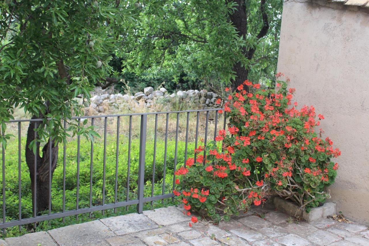 Agriturismo Tenuta Margitello 科米索 外观 照片